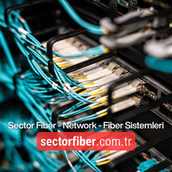 Cat8 ve Cat7 Ethernet Kabloları: Farklar ve Performans Karşılaştırması